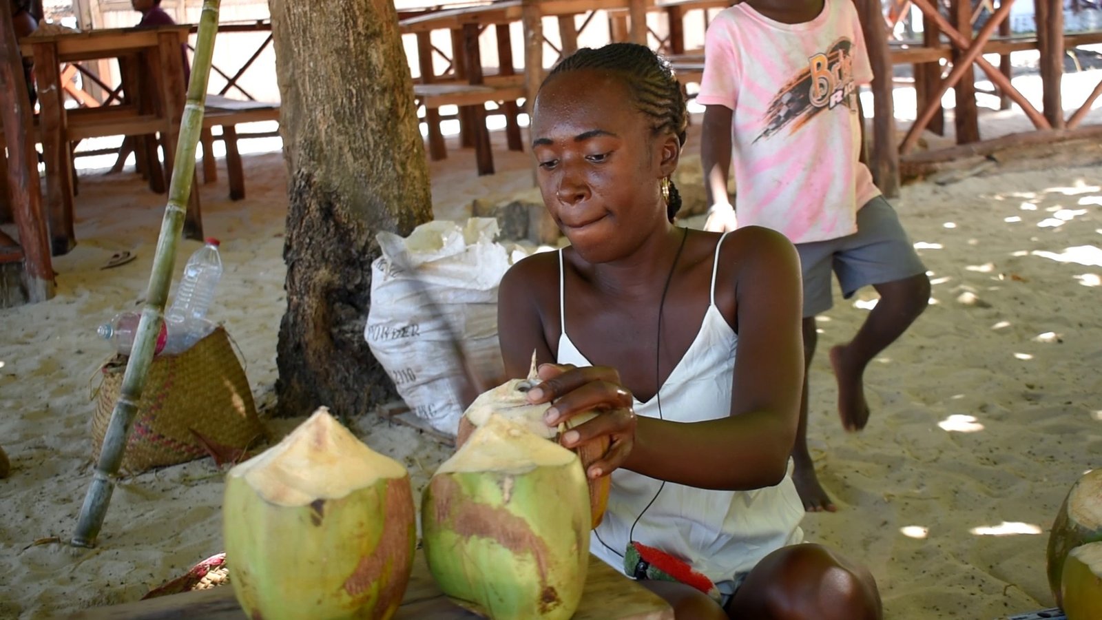 jackfruit jak jack conch ananas iranja