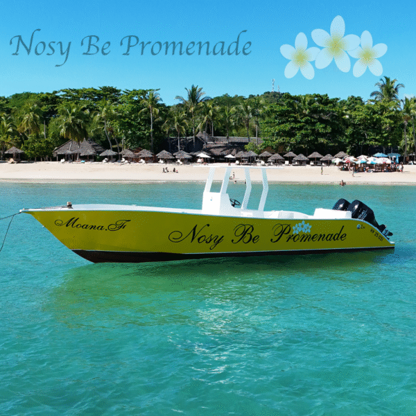 bateaux 2X200cv