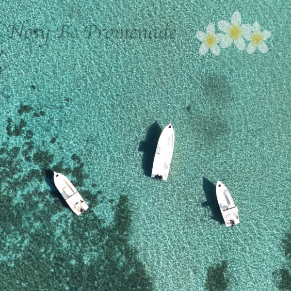 nos 3 bateaux.