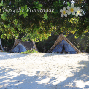 Bivouac
