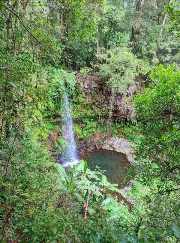 FB_IMG_1738775812717