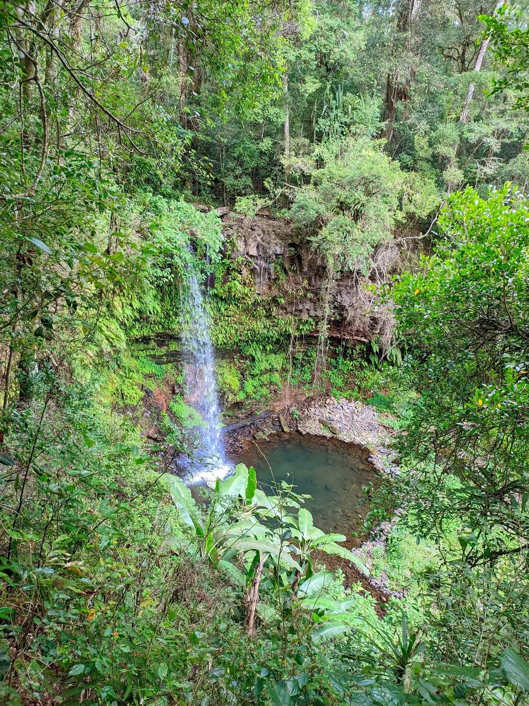 FB_IMG_1738775812717